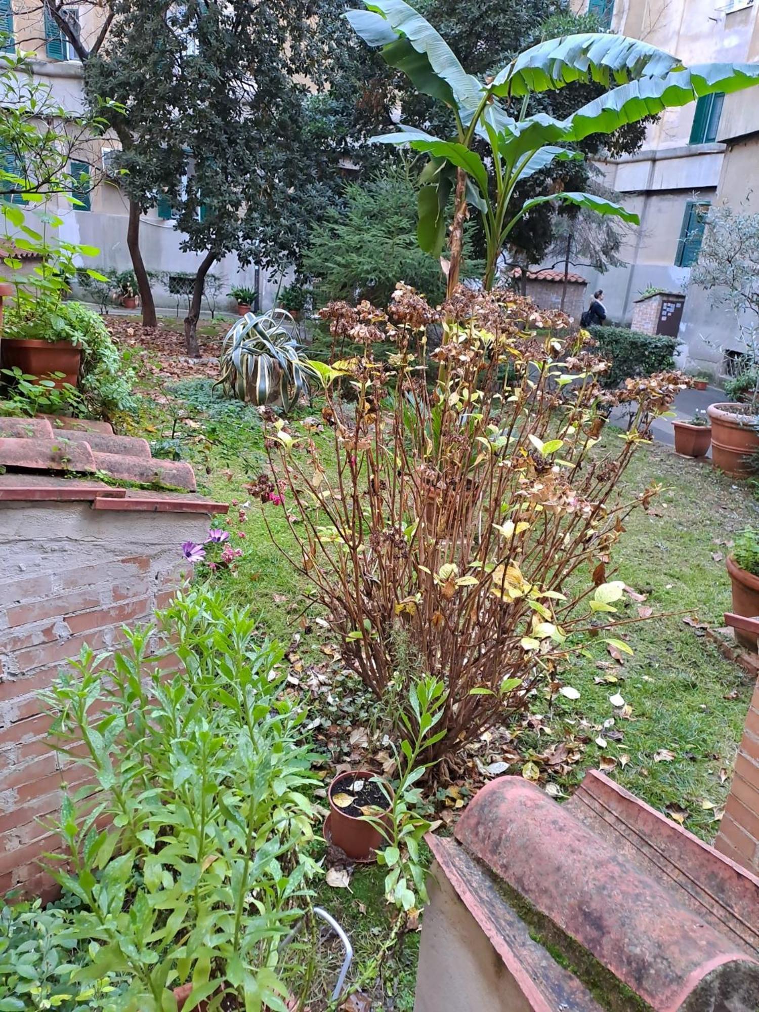 La Casetta Di Via Appia - 1929 Apartment *